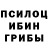 Псилоцибиновые грибы Psilocybe Hoiap Hsbe