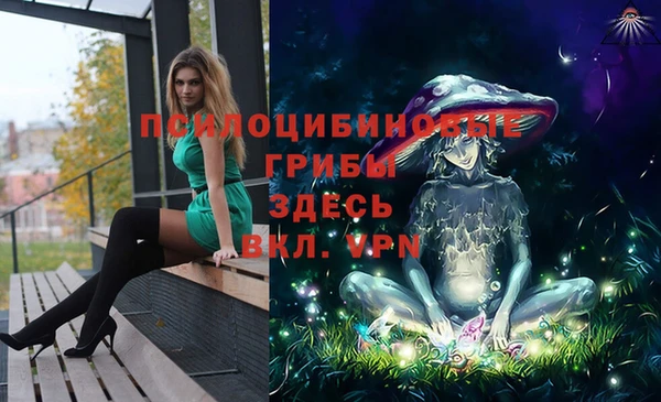 дмт Алексин