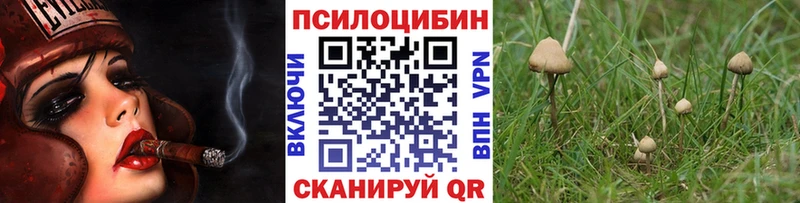 Псилоцибиновые грибы Magic Shrooms  нарко площадка как зайти  Урай  где можно купить наркотик  hydra маркетплейс 
