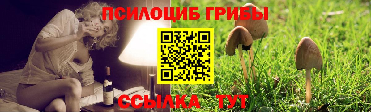 Галлюциногенные грибы Psilocybine cubensis  даркнет сайт  Урай  Галлюциногенные грибы Magic Shrooms  Вход с VPN 